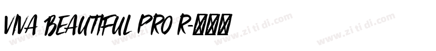 Viva Beautiful Pro R字体转换